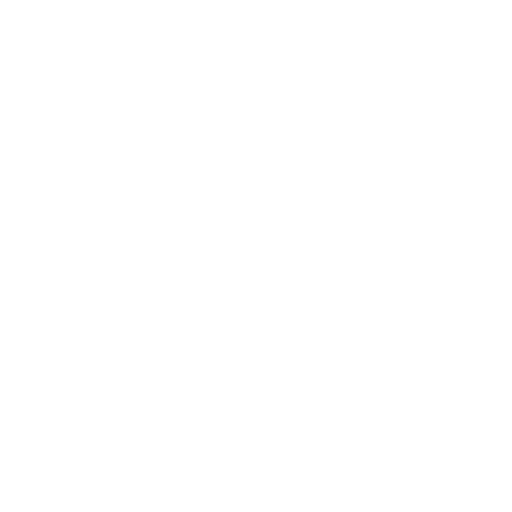 Expertise icon